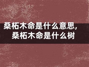 桑松土命是什么意思|桑柘木命啥意思 桑柘木命是几等命